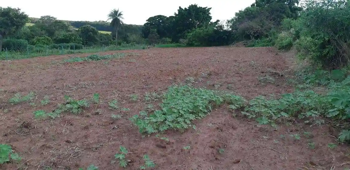 Fazenda / Sítio / Chácara  à venda, 2500m² — foto 3 de 7
