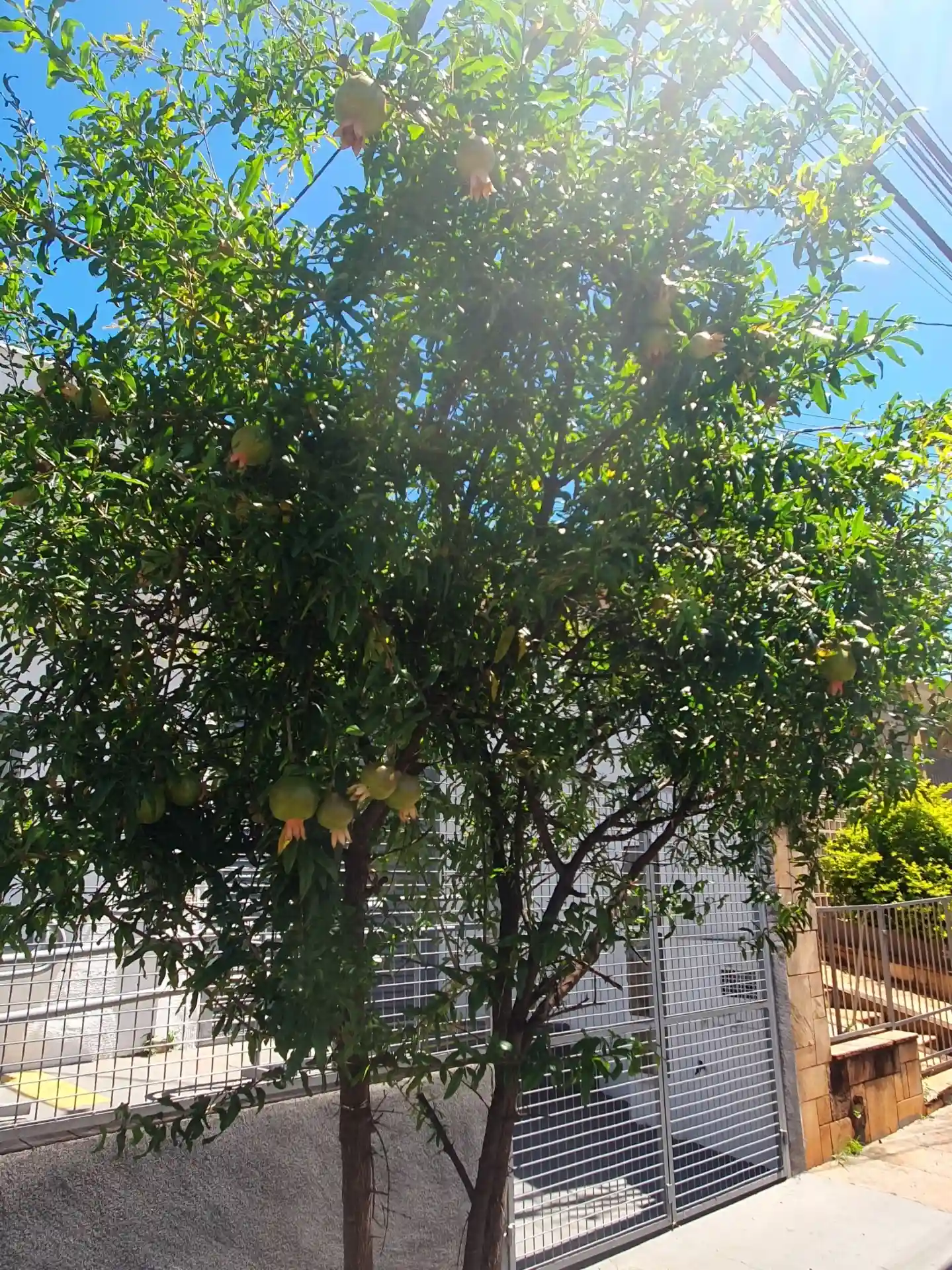 Casa Comercial com 3 quartos para aluguel, 240m² — foto 54 de 55