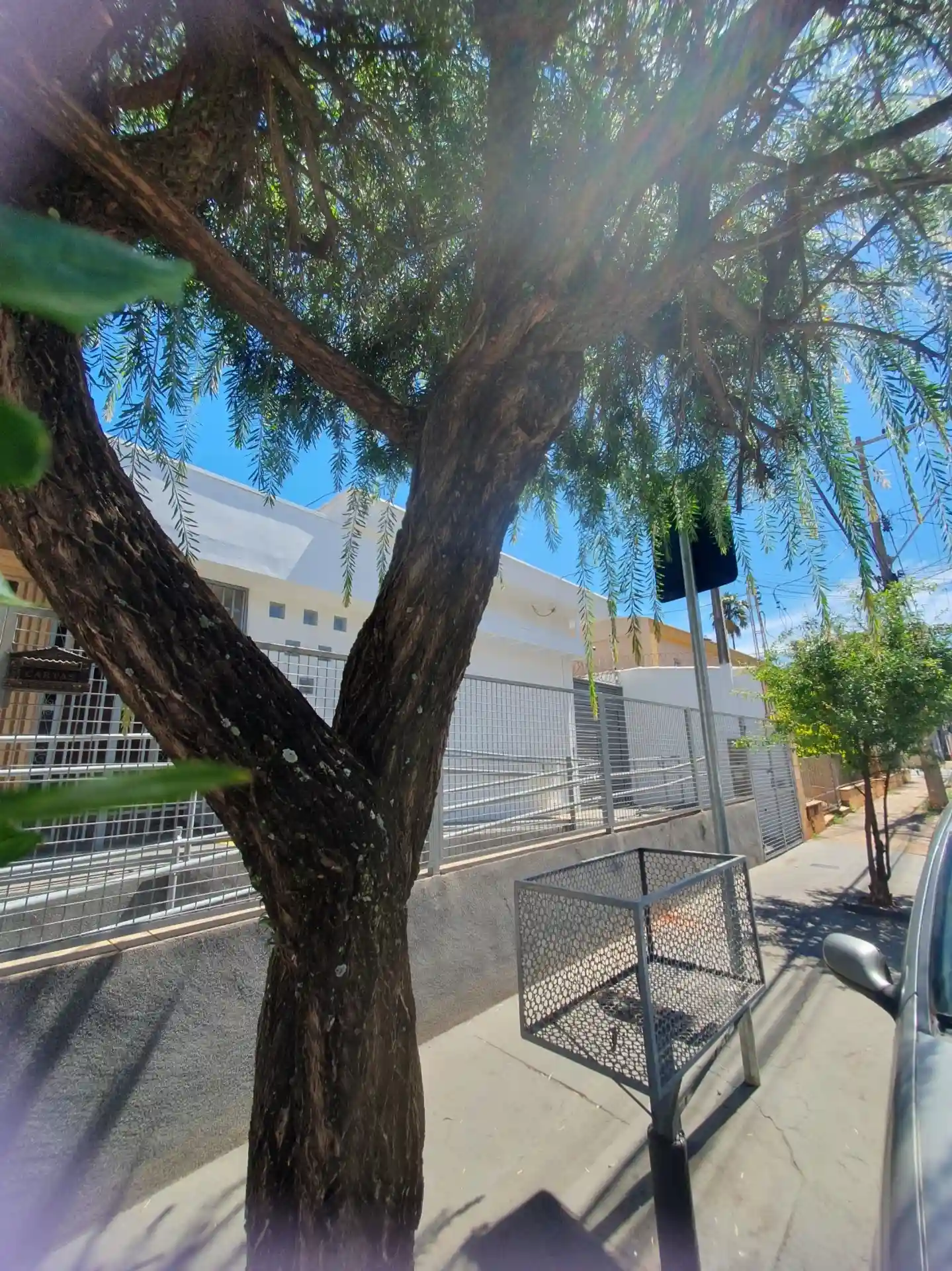 Casa Comercial com 3 quartos para aluguel, 240m² — foto 53 de 55