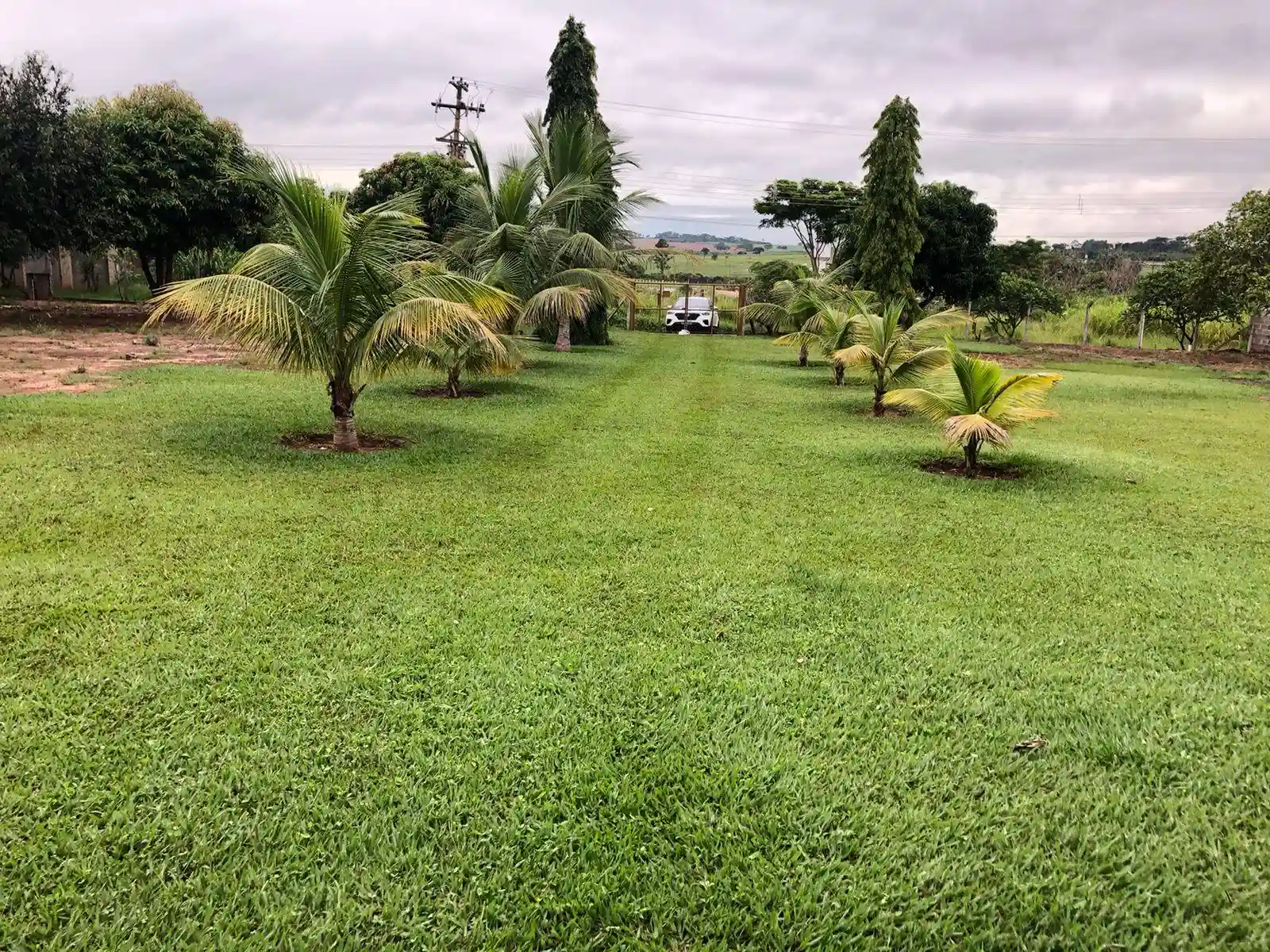 Fazenda / Sítio / Chácara com 1 quarto à venda, 5000m² — foto 14 de 17