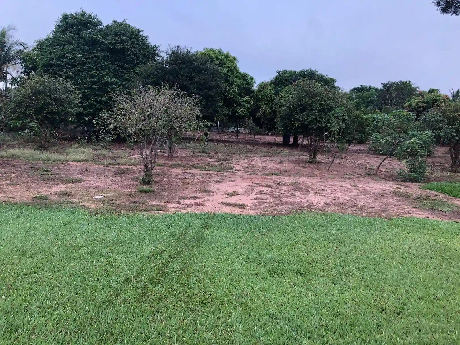 Fazenda / Sítio / Chácara com 1 quarto à venda, 5000m² — foto 17 de 17