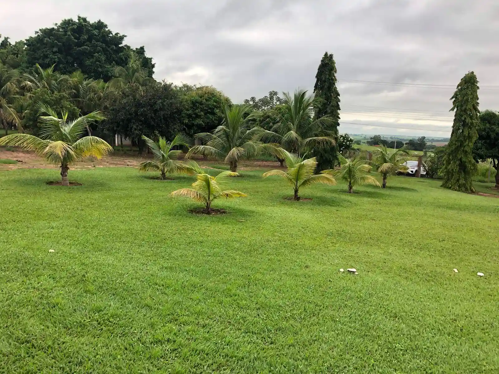 Fazenda / Sítio / Chácara com 1 quarto à venda, 5000m² — foto 13 de 17