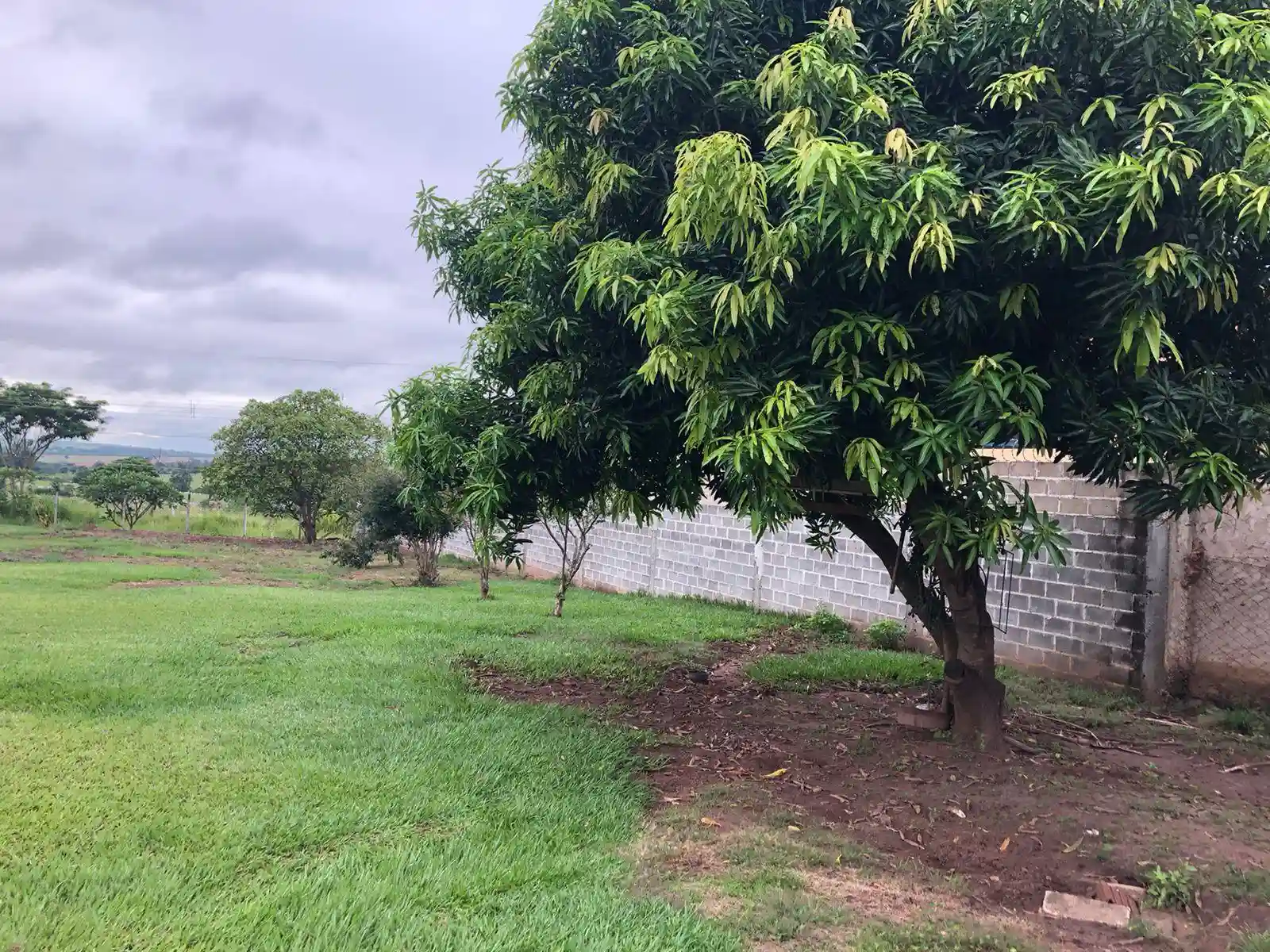 Fazenda / Sítio / Chácara com 1 quarto à venda, 5000m² — foto 15 de 17