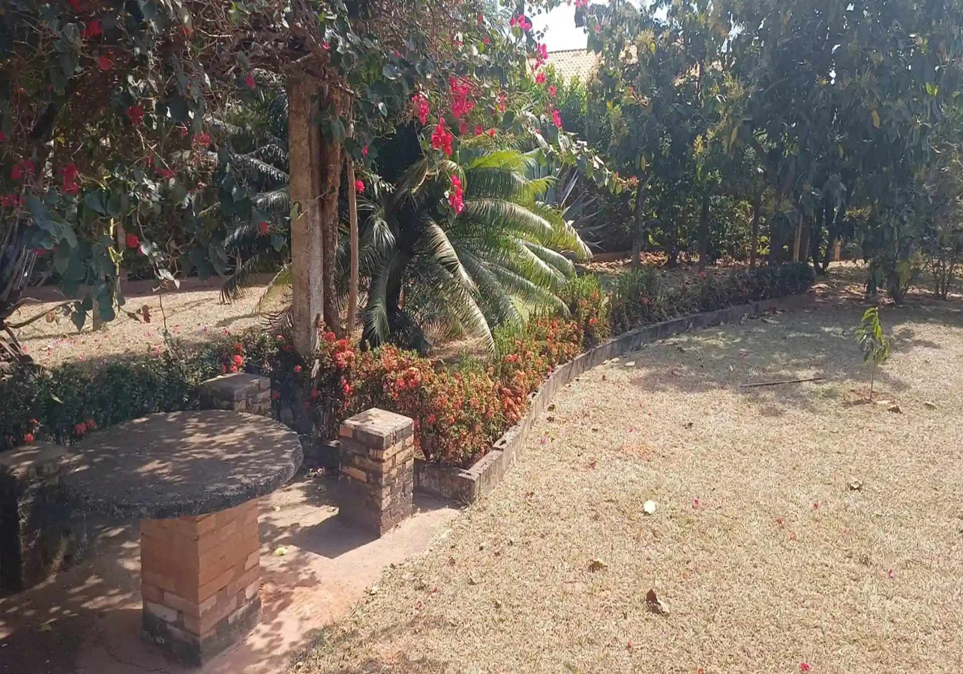 Fazenda / Sítio / Chácara com 4 quartos à venda, 1258m² — foto 10 de 14