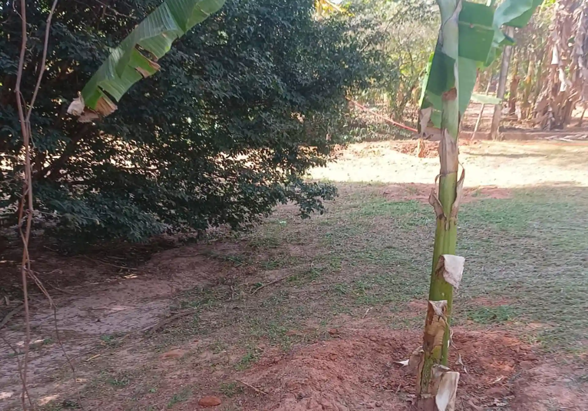 Fazenda / Sítio / Chácara com 4 quartos à venda, 1258m² — foto 6 de 14