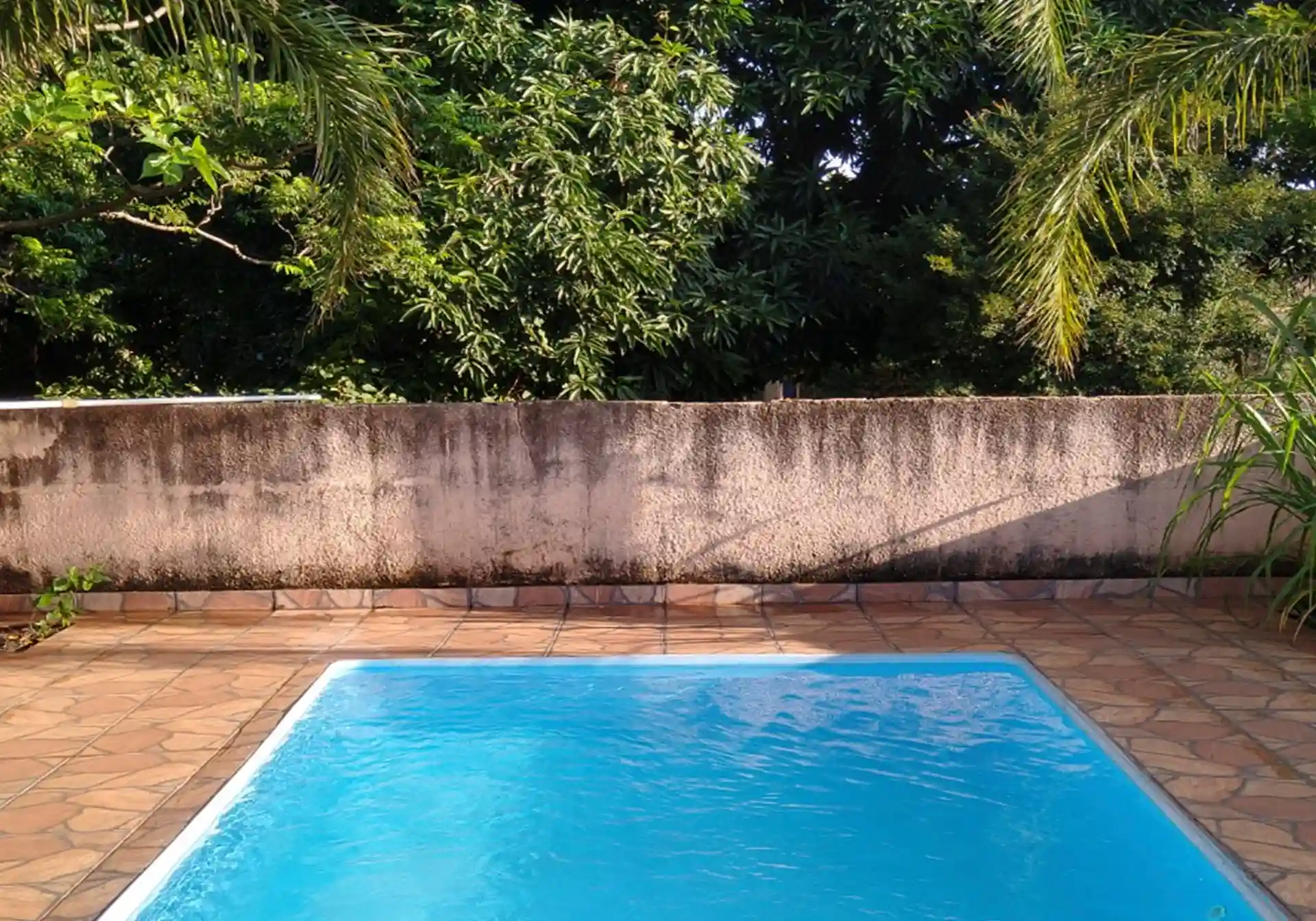 Fazenda / Sítio / Chácara com 4 quartos à venda, 1258m² — foto 8 de 14