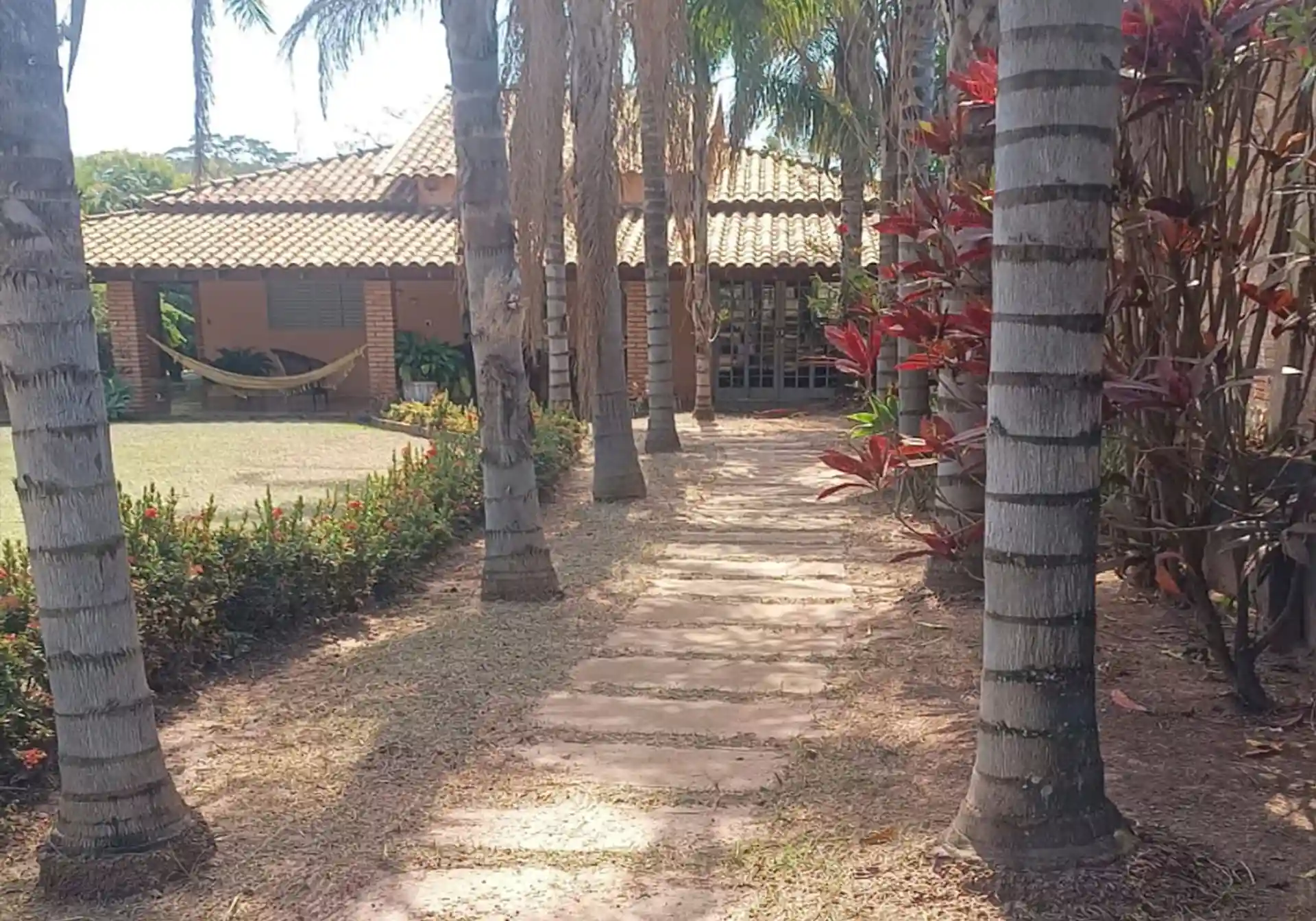 Fazenda / Sítio / Chácara com 4 quartos à venda, 1258m² — foto 7 de 14