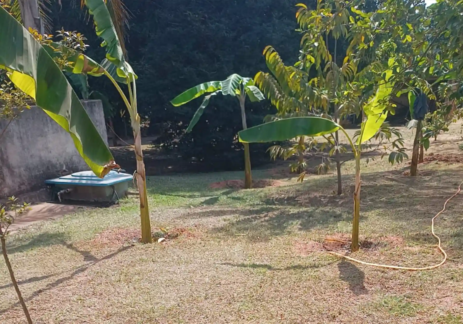 Fazenda / Sítio / Chácara com 4 quartos à venda, 1258m² — foto 14 de 14