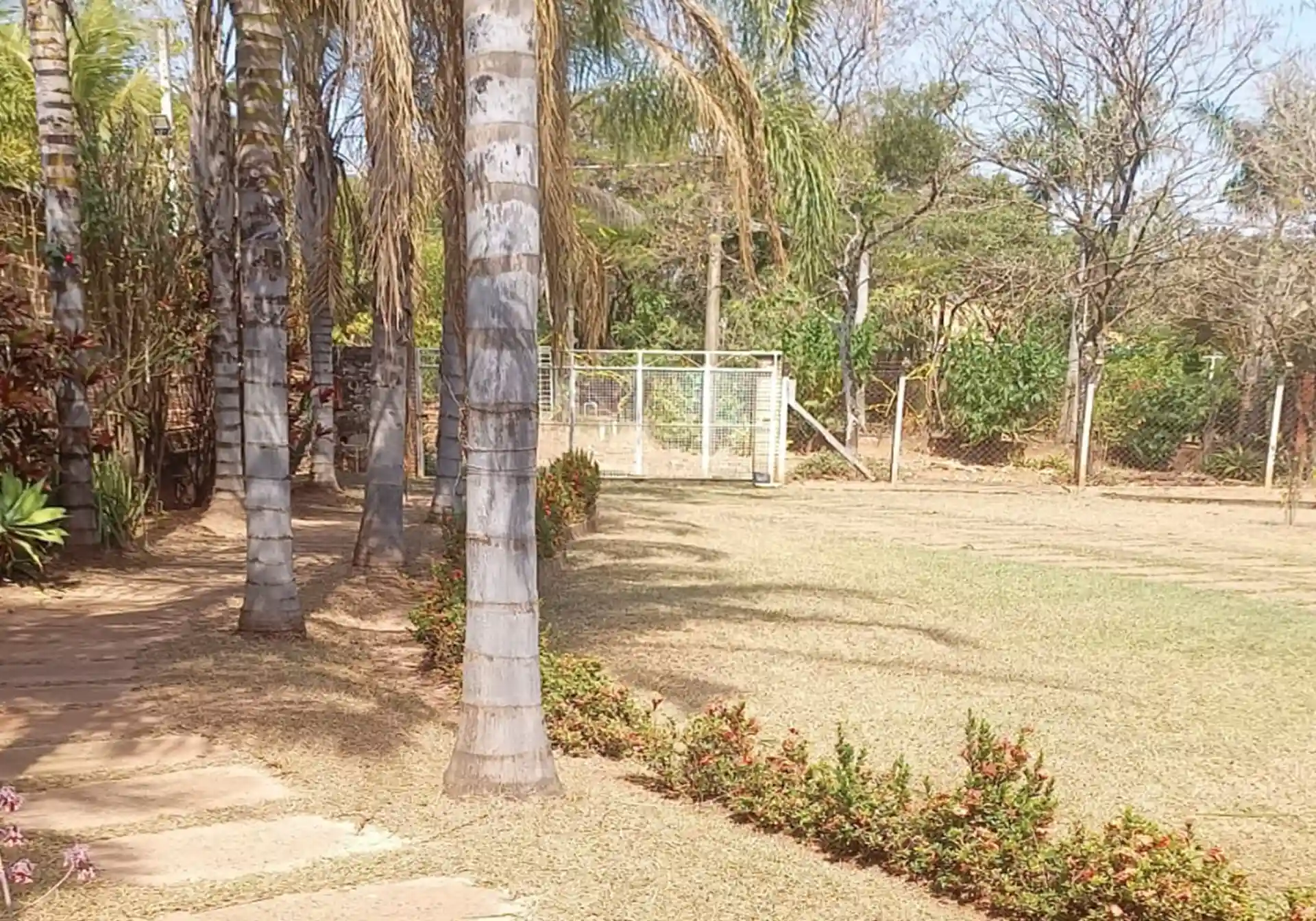 Fazenda / Sítio / Chácara com 4 quartos à venda, 1258m² — foto 4 de 14