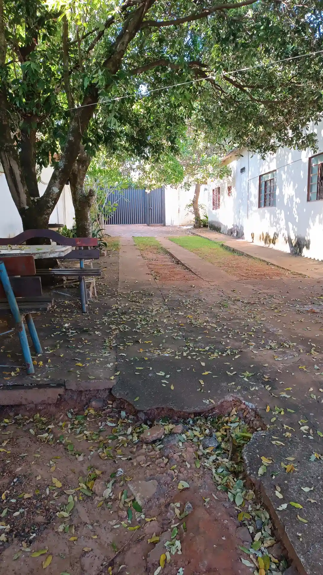 Fazenda / Sítio / Chácara com 3 quartos à venda, 1000m² — foto 7 de 17