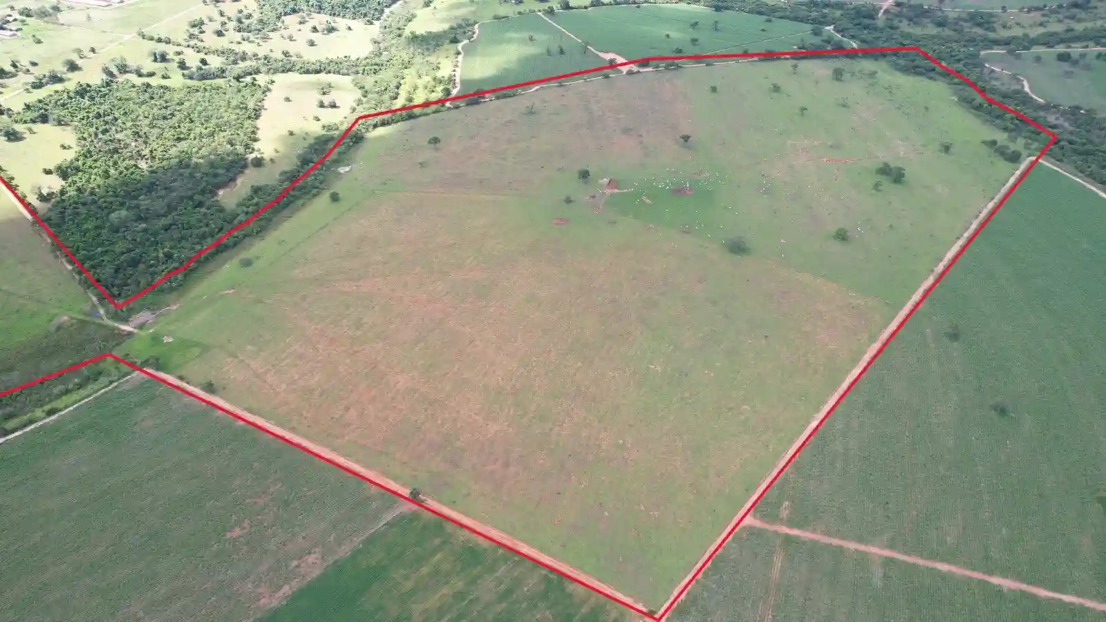 Fazenda / Sítio / Chácara  à venda, 50m² — foto 4 de 4