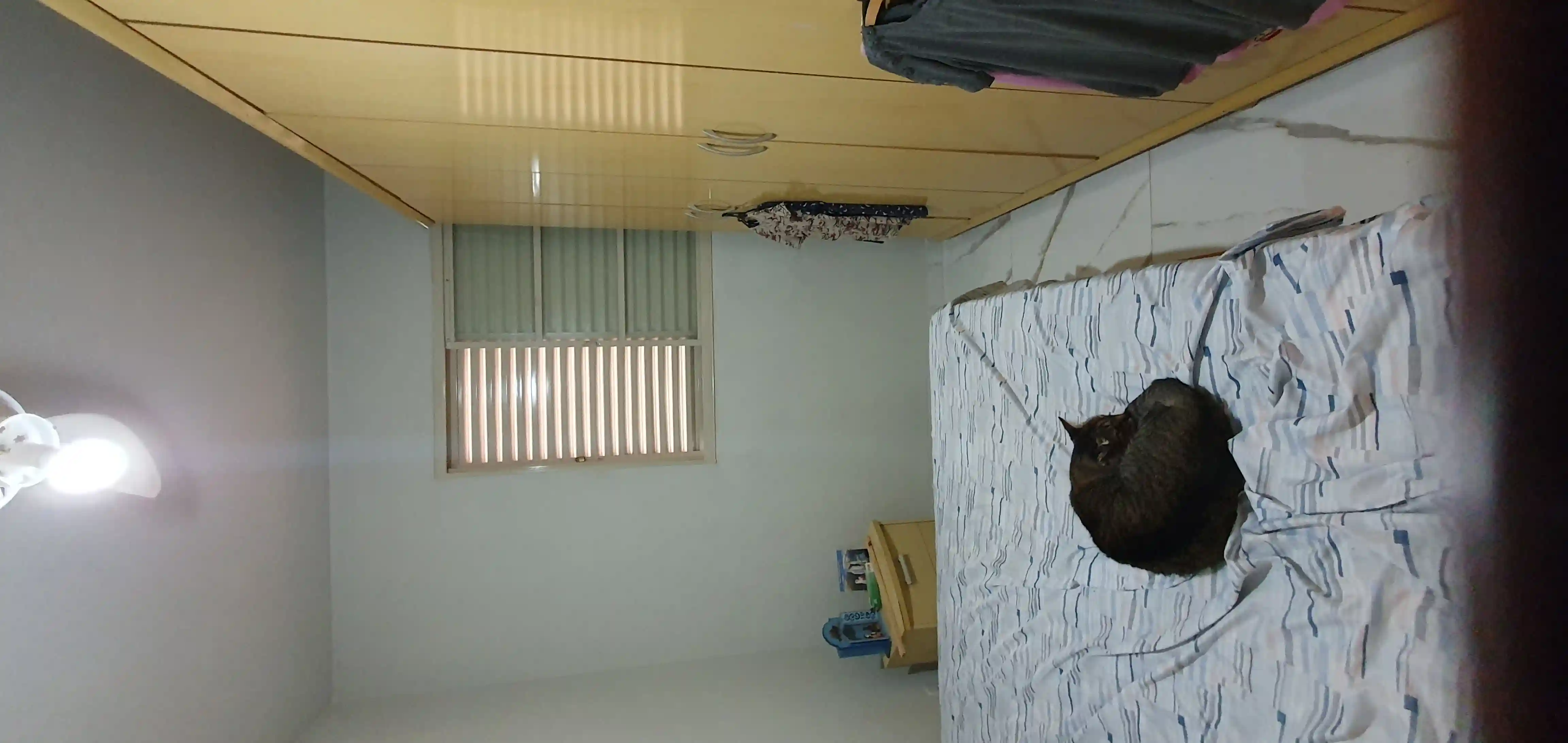 Apartamento com 3 quartos à venda, 70m² — foto 6 de 7