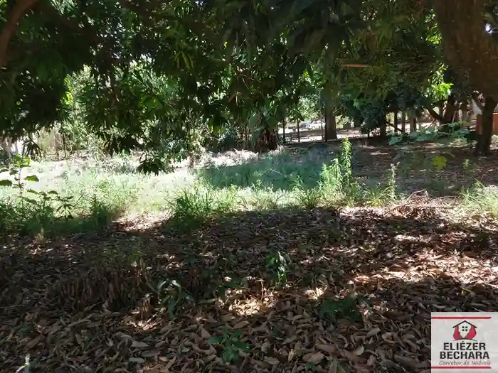 Fazenda / Sítio / Chácara com 2 quartos à venda, 4400m² — foto 38 de 44
