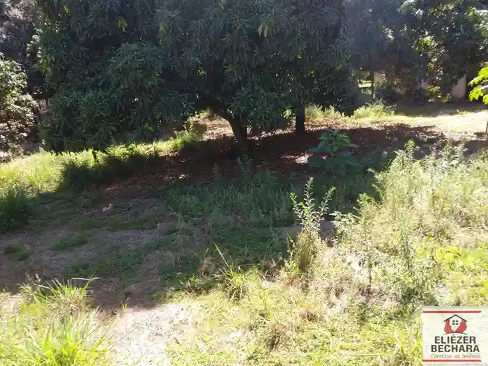 Fazenda / Sítio / Chácara com 2 quartos à venda, 4400m² — foto 5 de 44