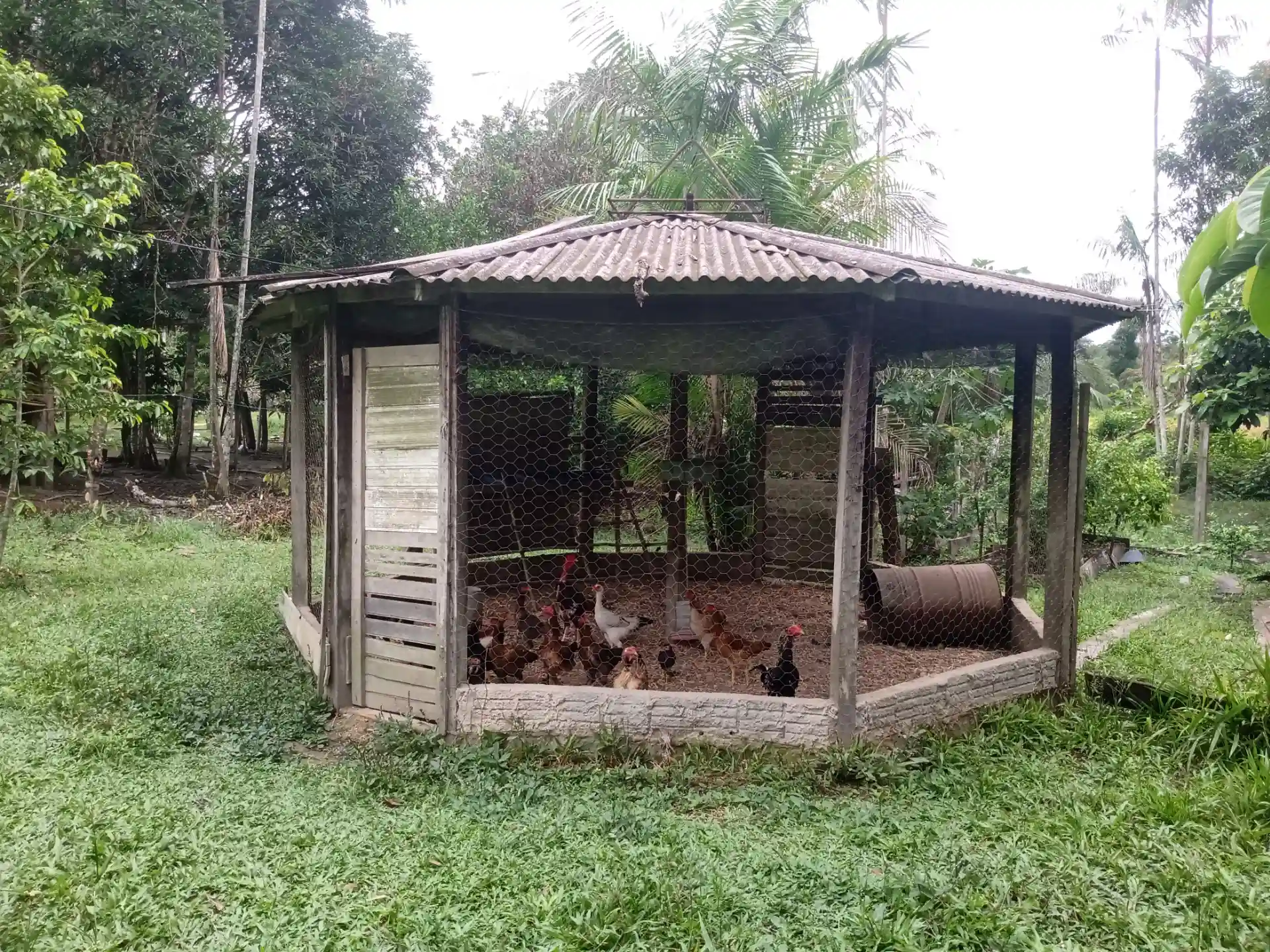 Fazenda / Sítio / Chácara com 3 quartos à venda, 1000m² — foto 5 de 10