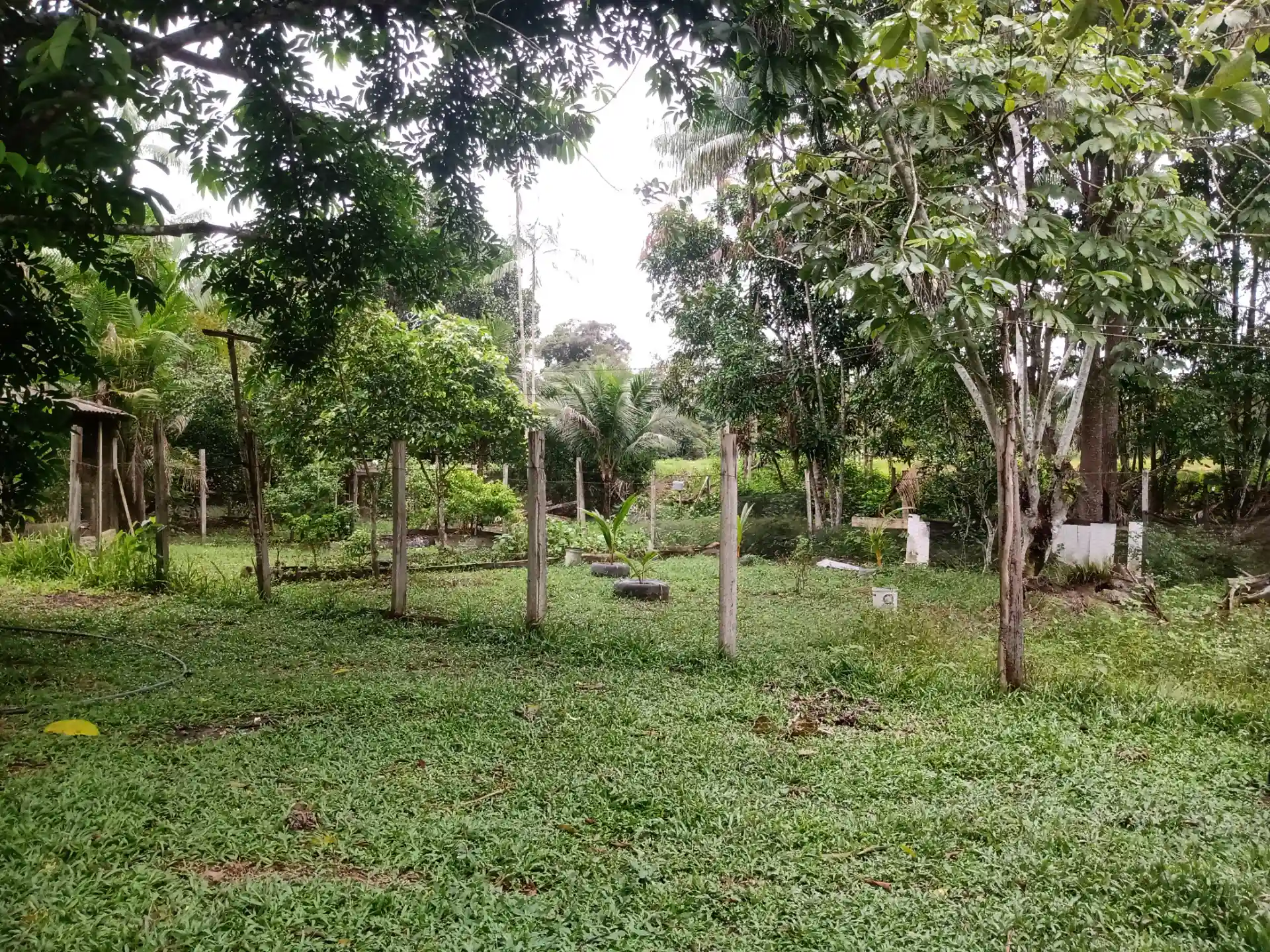 Fazenda / Sítio / Chácara com 3 quartos à venda, 1000m² — foto 3 de 10