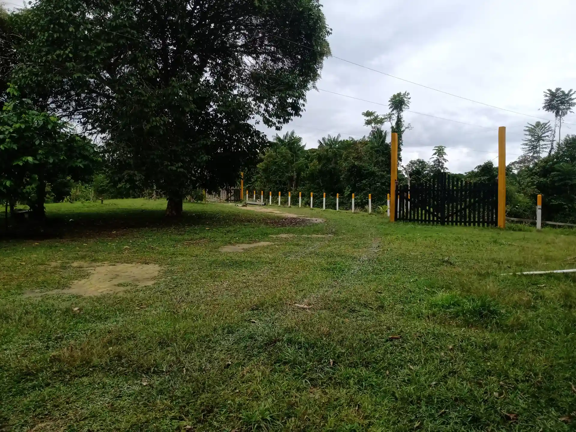 Fazenda / Sítio / Chácara com 3 quartos à venda, 1000m² — foto 1 de 10