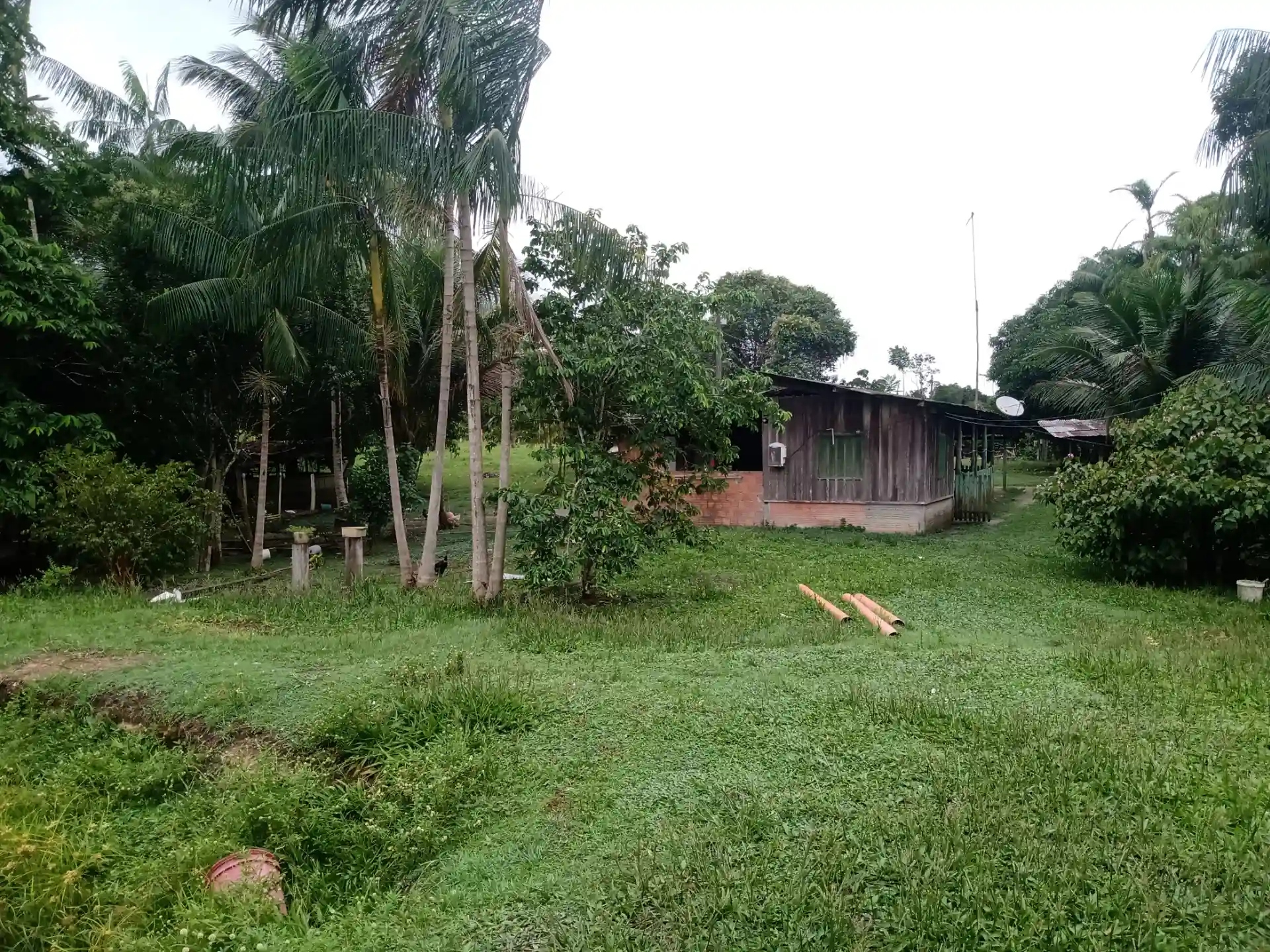 Fazenda / Sítio / Chácara com 3 quartos à venda, 1000m² — foto 8 de 10