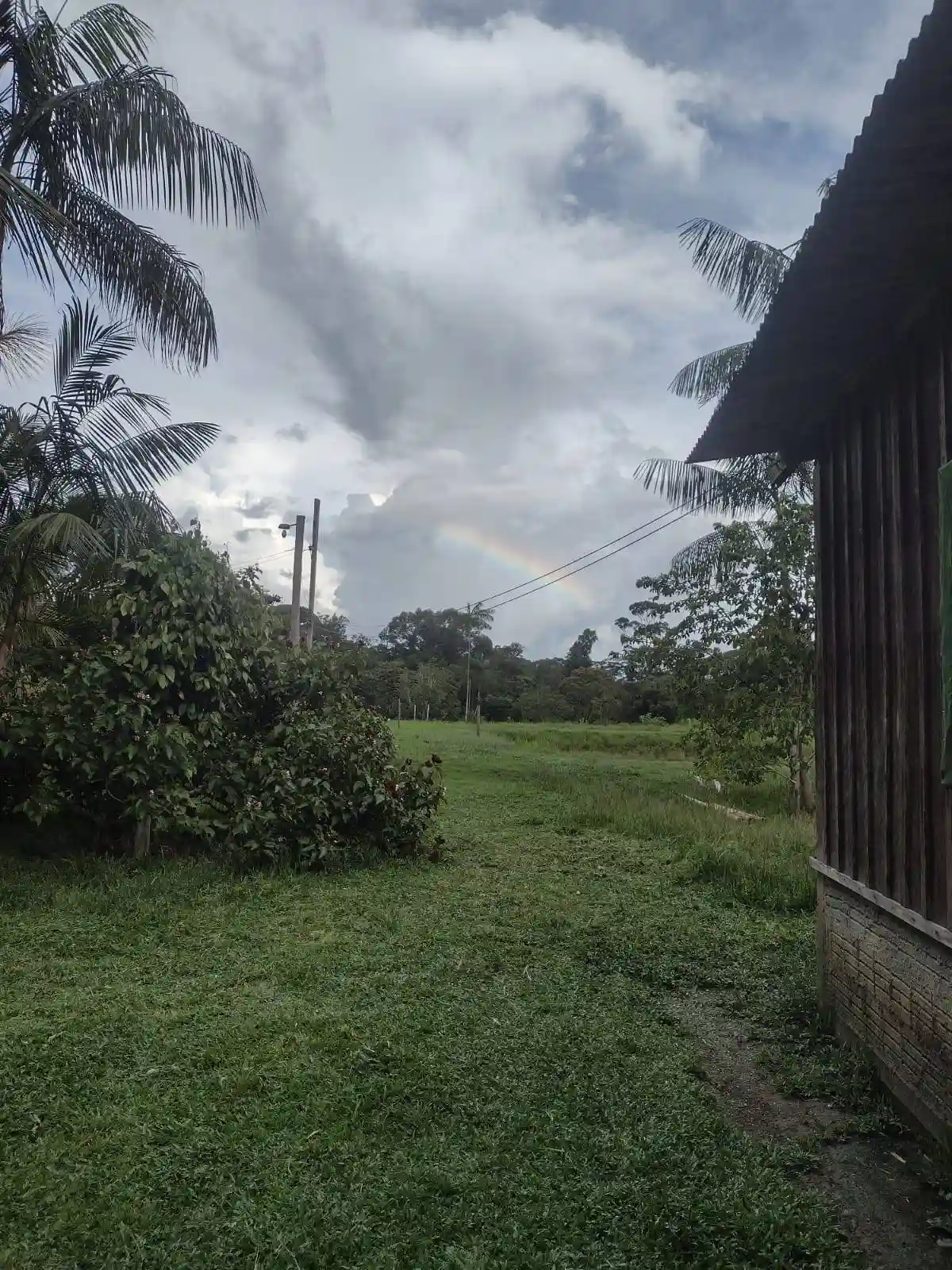 Fazenda / Sítio / Chácara com 3 quartos à venda, 1000m² — foto 2 de 10