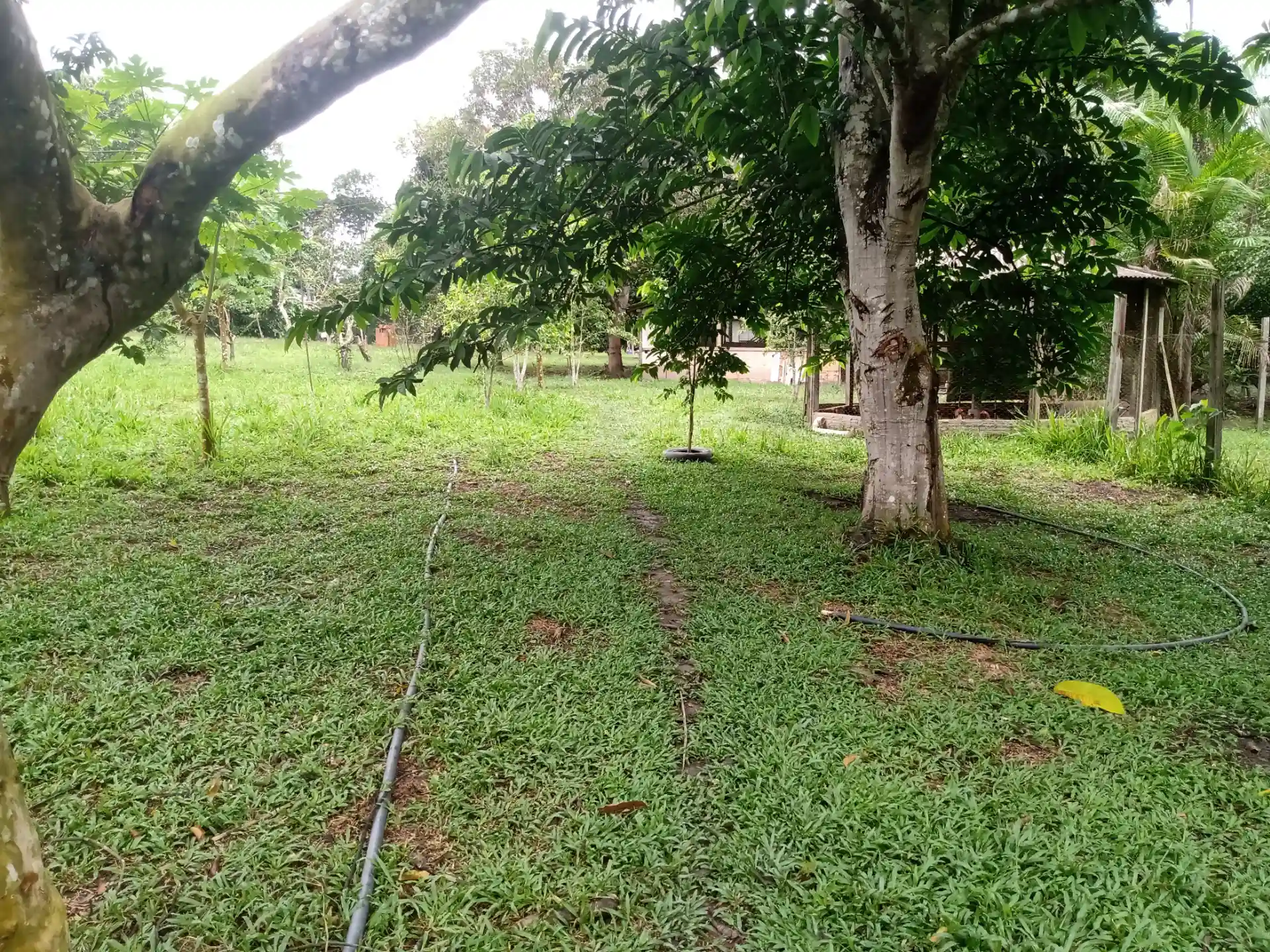 Fazenda / Sítio / Chácara com 3 quartos à venda, 1000m² — foto 4 de 10