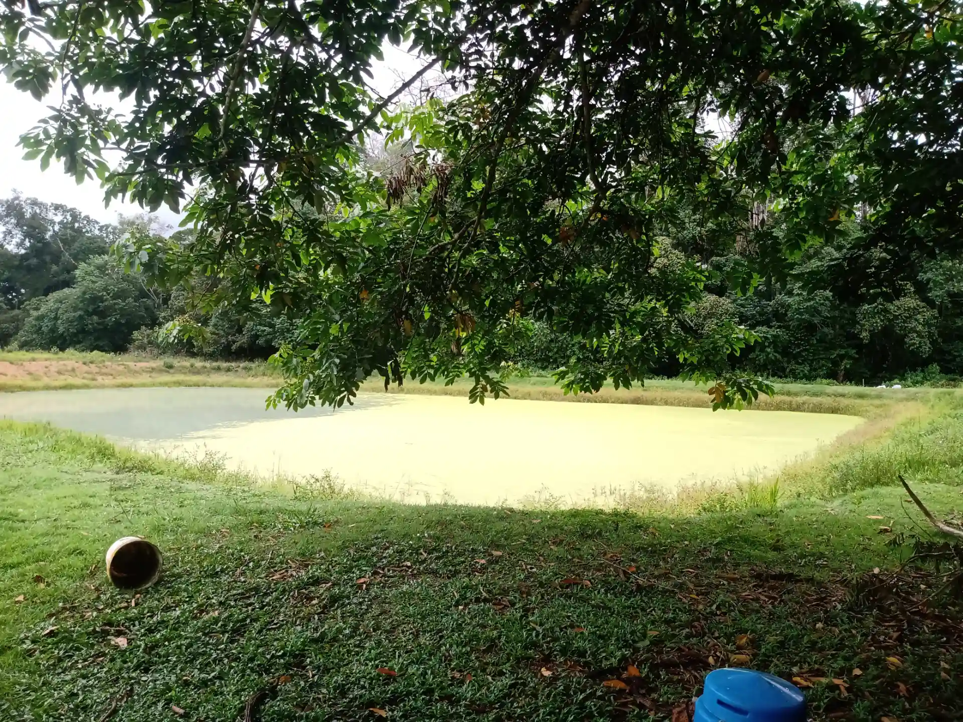 Fazenda / Sítio / Chácara com 3 quartos à venda, 1000m² — foto 7 de 10