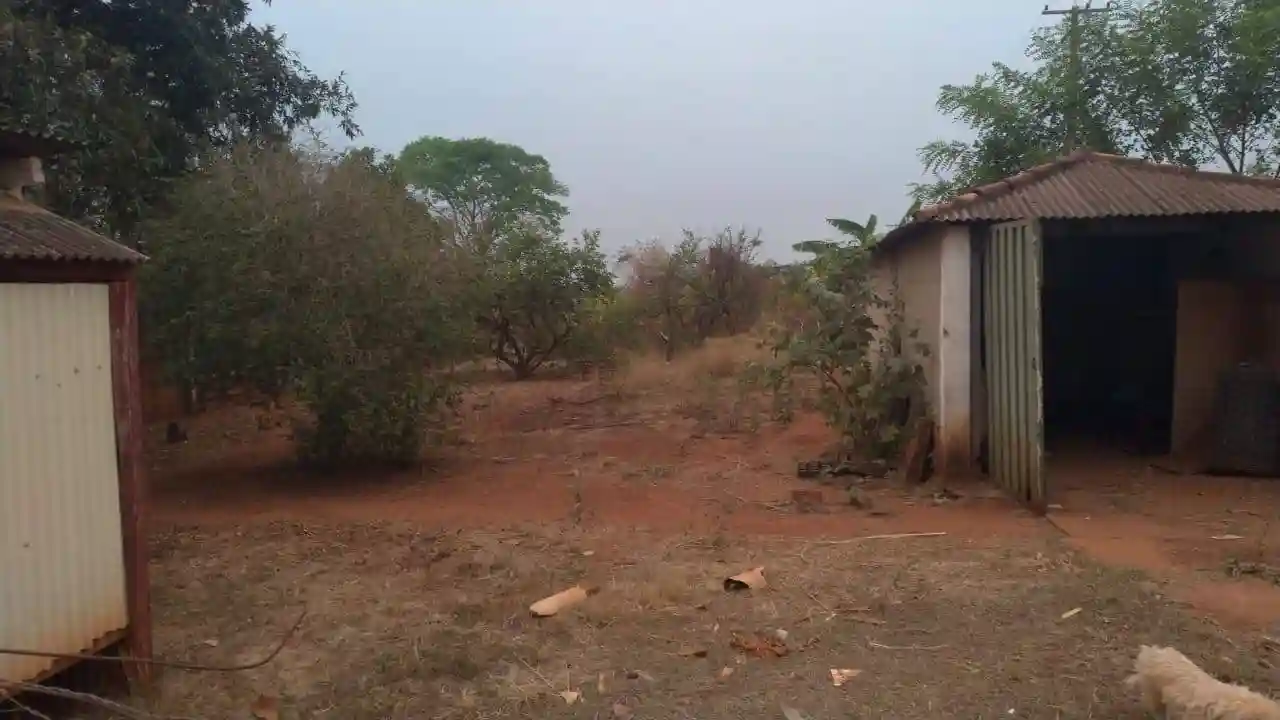 Fazenda / Sítio / Chácara  à venda, 3000m² — foto 11 de 20
