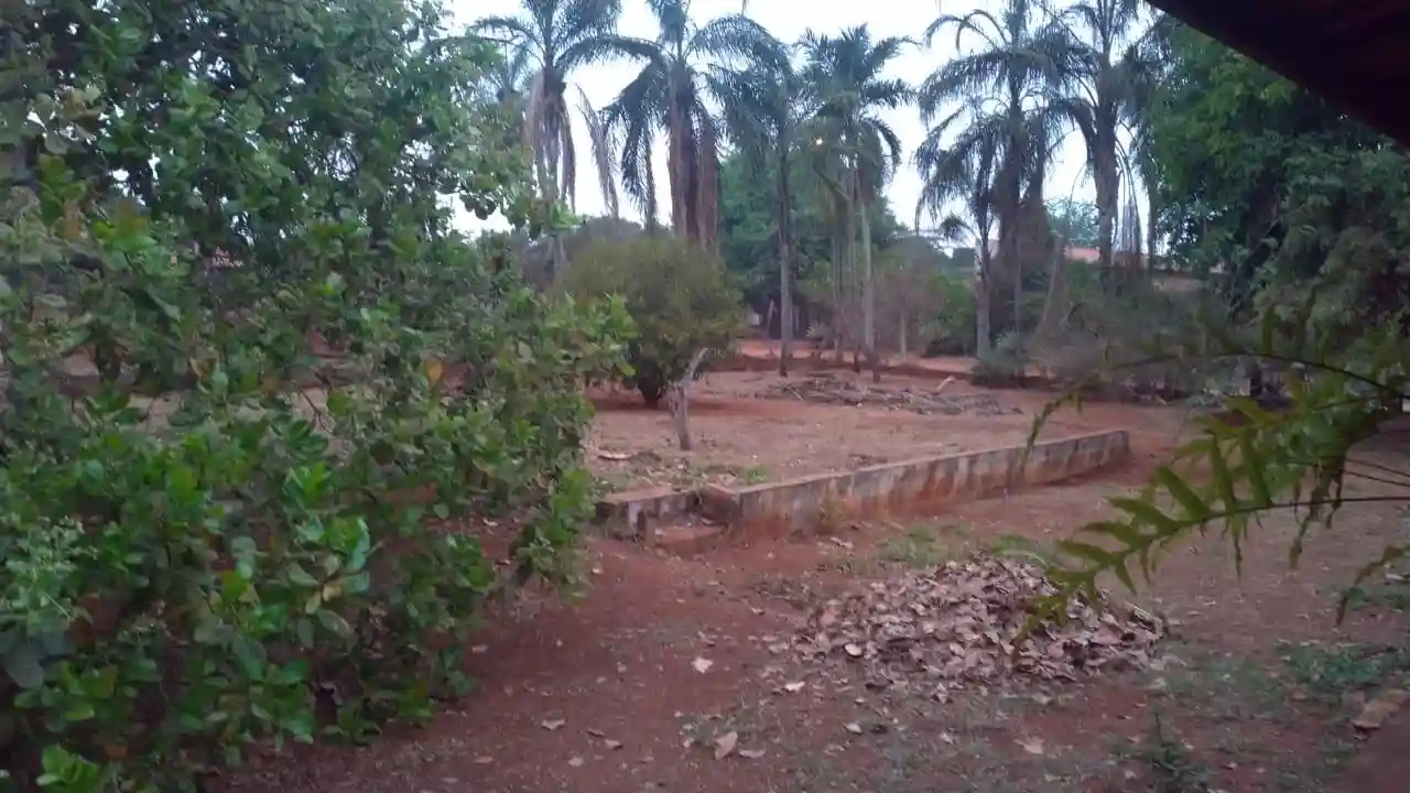 Fazenda / Sítio / Chácara  à venda, 3000m² — foto 8 de 20