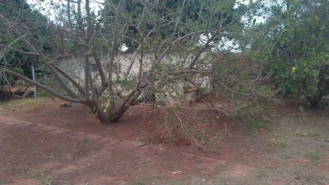 Fazenda / Sítio / Chácara  à venda, 3000m² — foto 7 de 20
