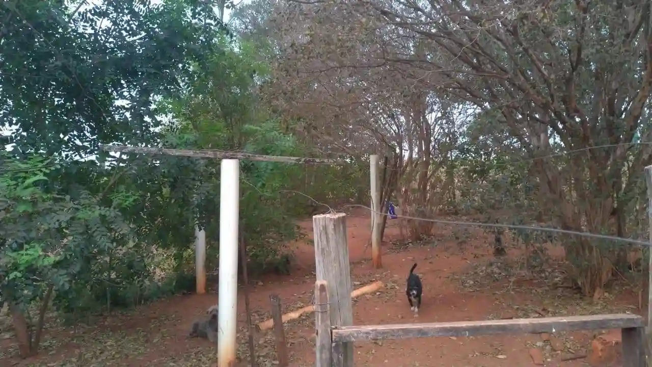 Fazenda / Sítio / Chácara  à venda, 3000m² — foto 9 de 20