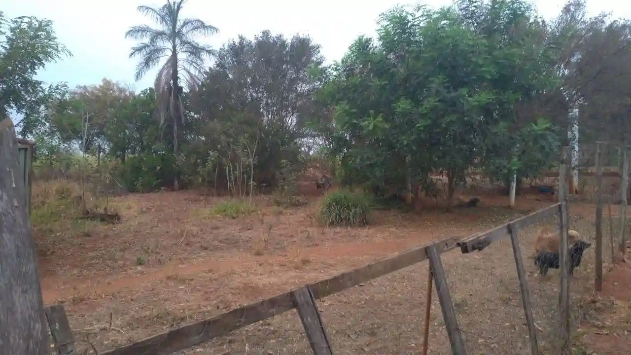 Fazenda / Sítio / Chácara  à venda, 3000m² — foto 10 de 20