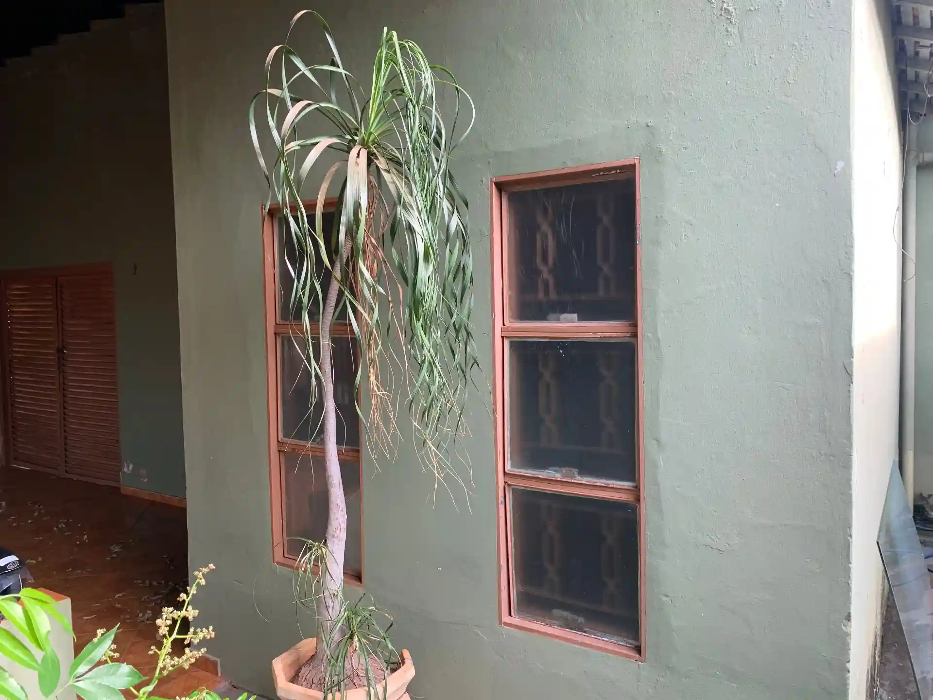 Casa com 2 quartos à venda, 120m² — foto 7 de 18