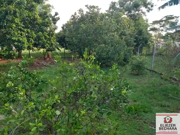 Fazenda / Sítio / Chácara com 3 quartos à venda, 1000m² — foto 51 de 60