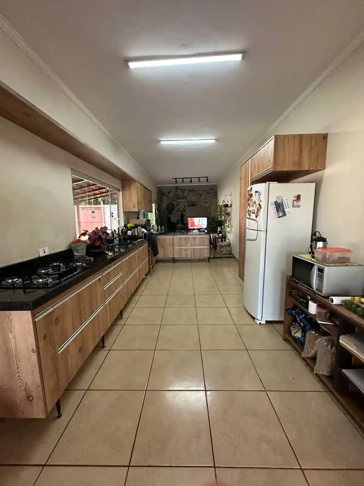 Fazenda / Sítio / Chácara com 2 quartos à venda, 1080m² — foto 14 de 17