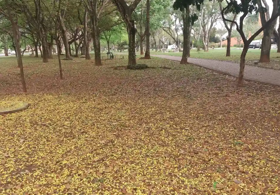 Terreno / Lote / Condomínio  à venda, 976m² — foto 2 de 5