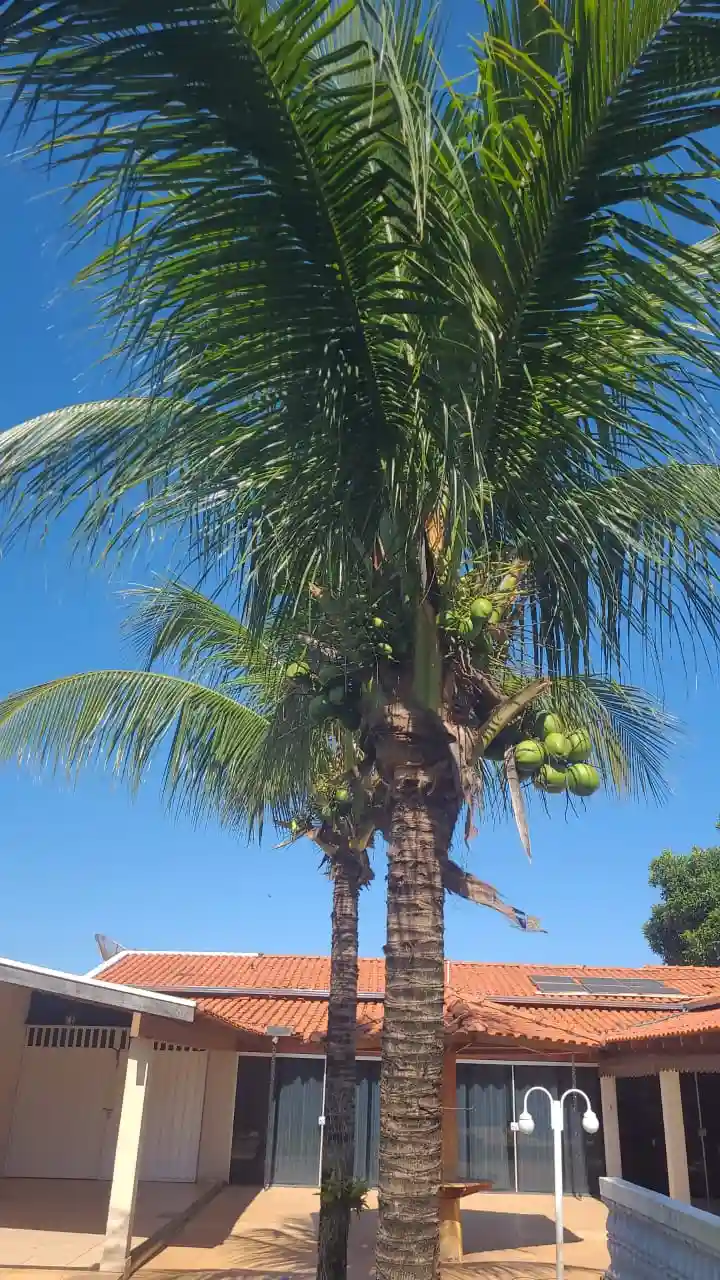 Casa de Condomínio com 3 quartos à venda, 500m² — foto 1 de 14