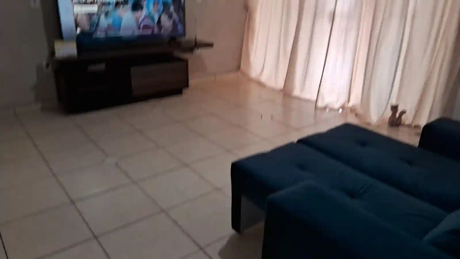 Fazenda / Sítio / Chácara com 3 quartos à venda, 500m² — foto 5 de 5
