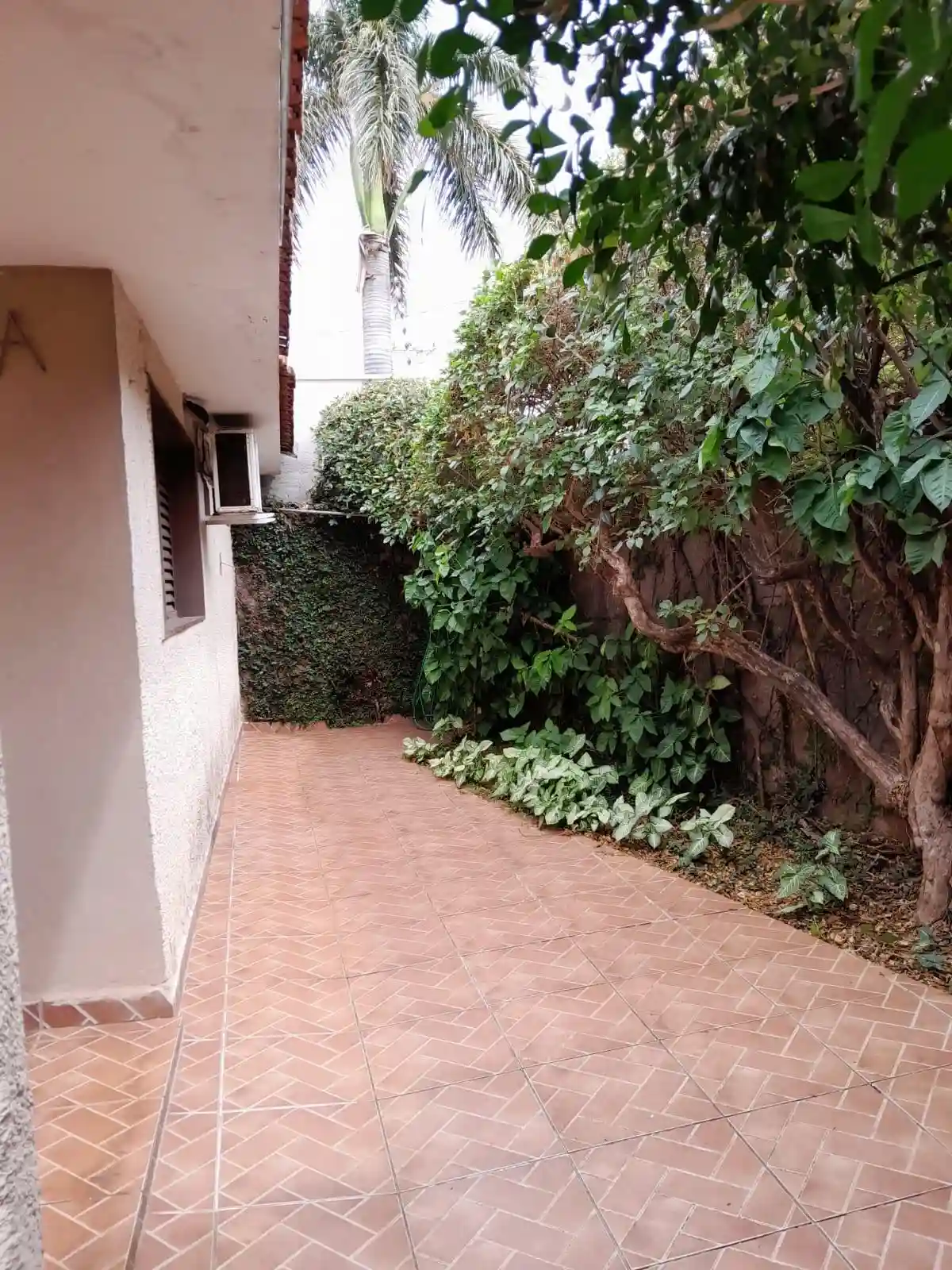 Casa com 3 quartos à venda, 205000m² — foto 8 de 15