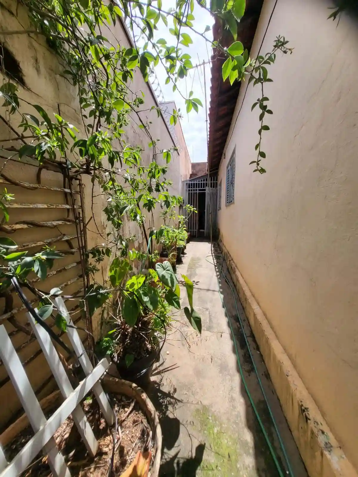 Casa com 3 quartos à venda, 120m² — foto 28 de 30