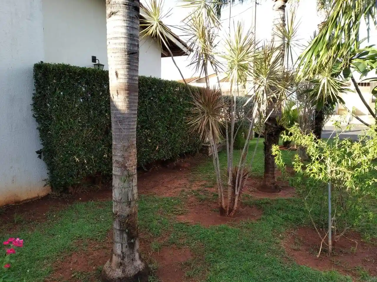 Casa de Condomínio com 2 quartos à venda, 100m² — foto 17 de 18
