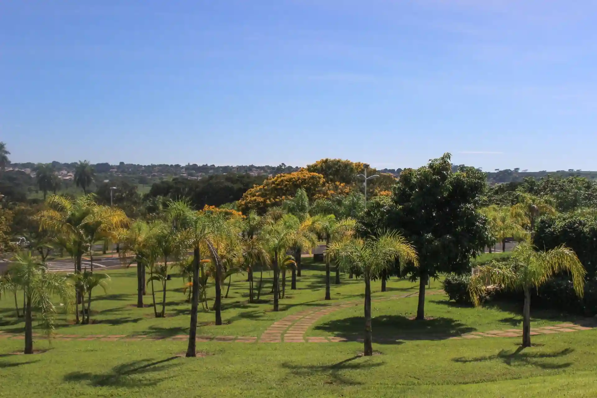 Terreno / Lote / Condomínio  à venda, 480m² — foto 8 de 13