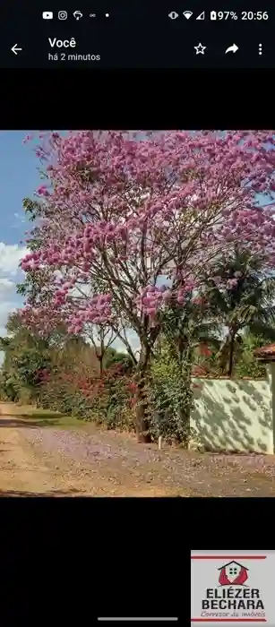 Fazenda / Sítio / Chácara com 2 quartos à venda, 1971m² — foto 16 de 17