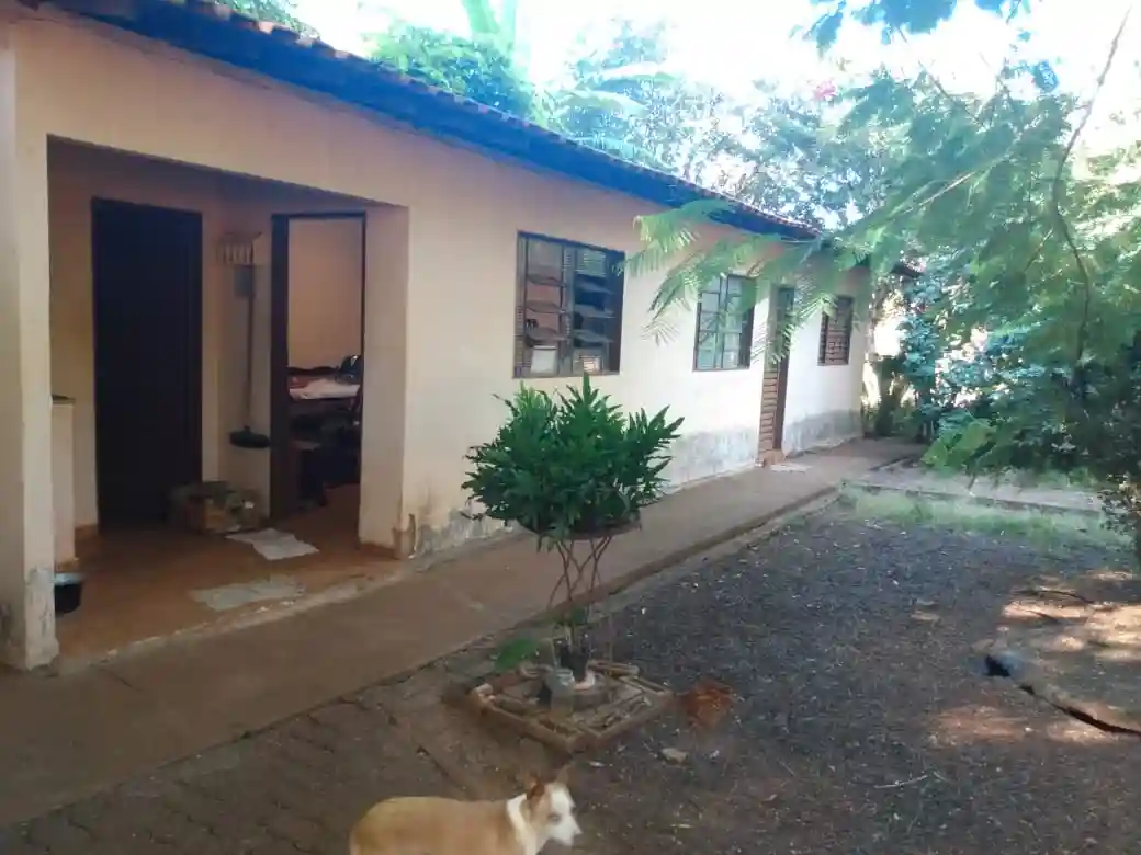 Fazenda / Sítio / Chácara com 3 quartos à venda, 4000m² — foto 4 de 27