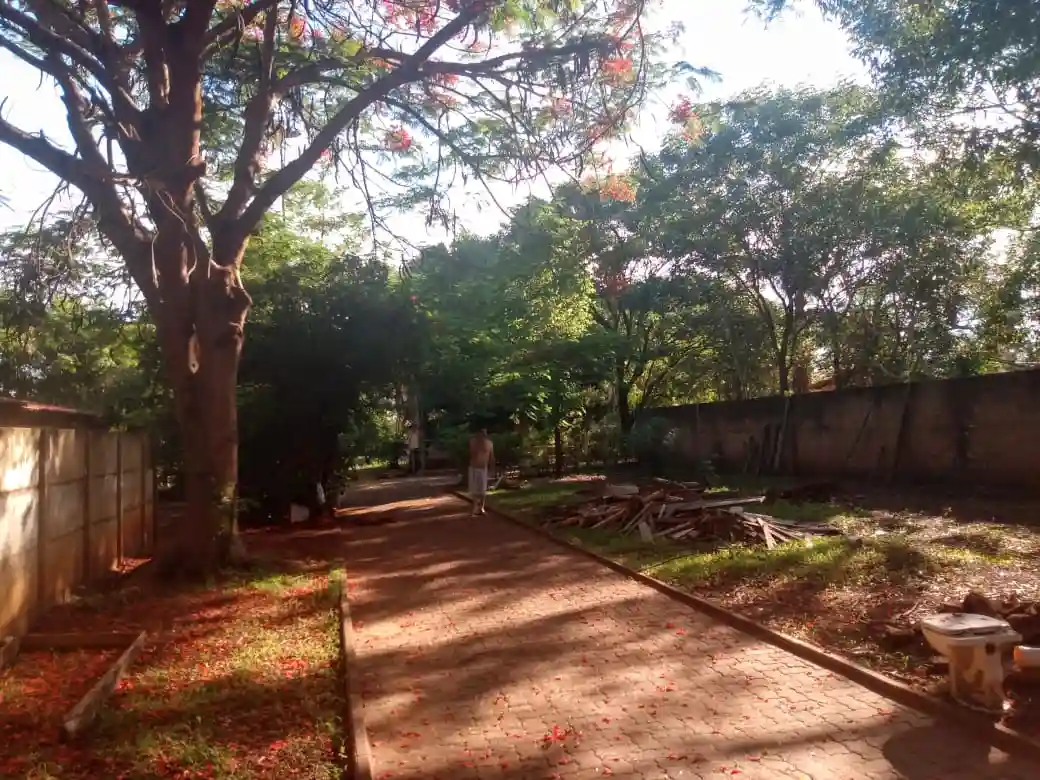 Fazenda / Sítio / Chácara com 3 quartos à venda, 4000m² — foto 14 de 27