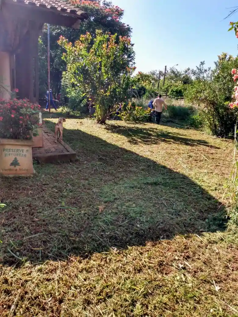 Fazenda / Sítio / Chácara com 3 quartos à venda, 4000m² — foto 18 de 27