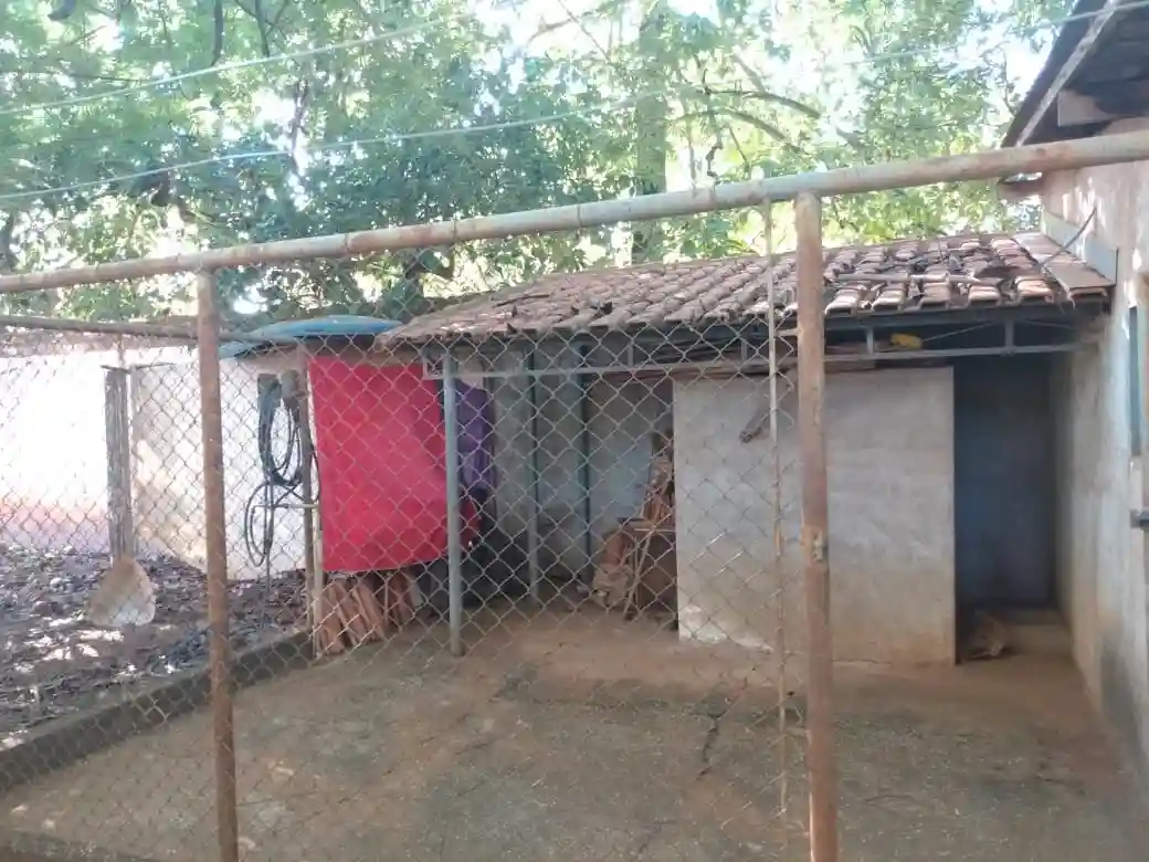 Fazenda / Sítio / Chácara com 3 quartos à venda, 4000m² — foto 19 de 27