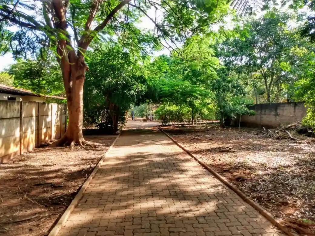 Fazenda / Sítio / Chácara com 3 quartos à venda, 4000m² — foto 2 de 27