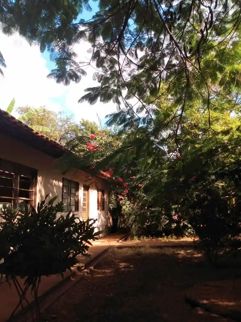Fazenda / Sítio / Chácara com 3 quartos à venda, 4000m² — foto 6 de 27
