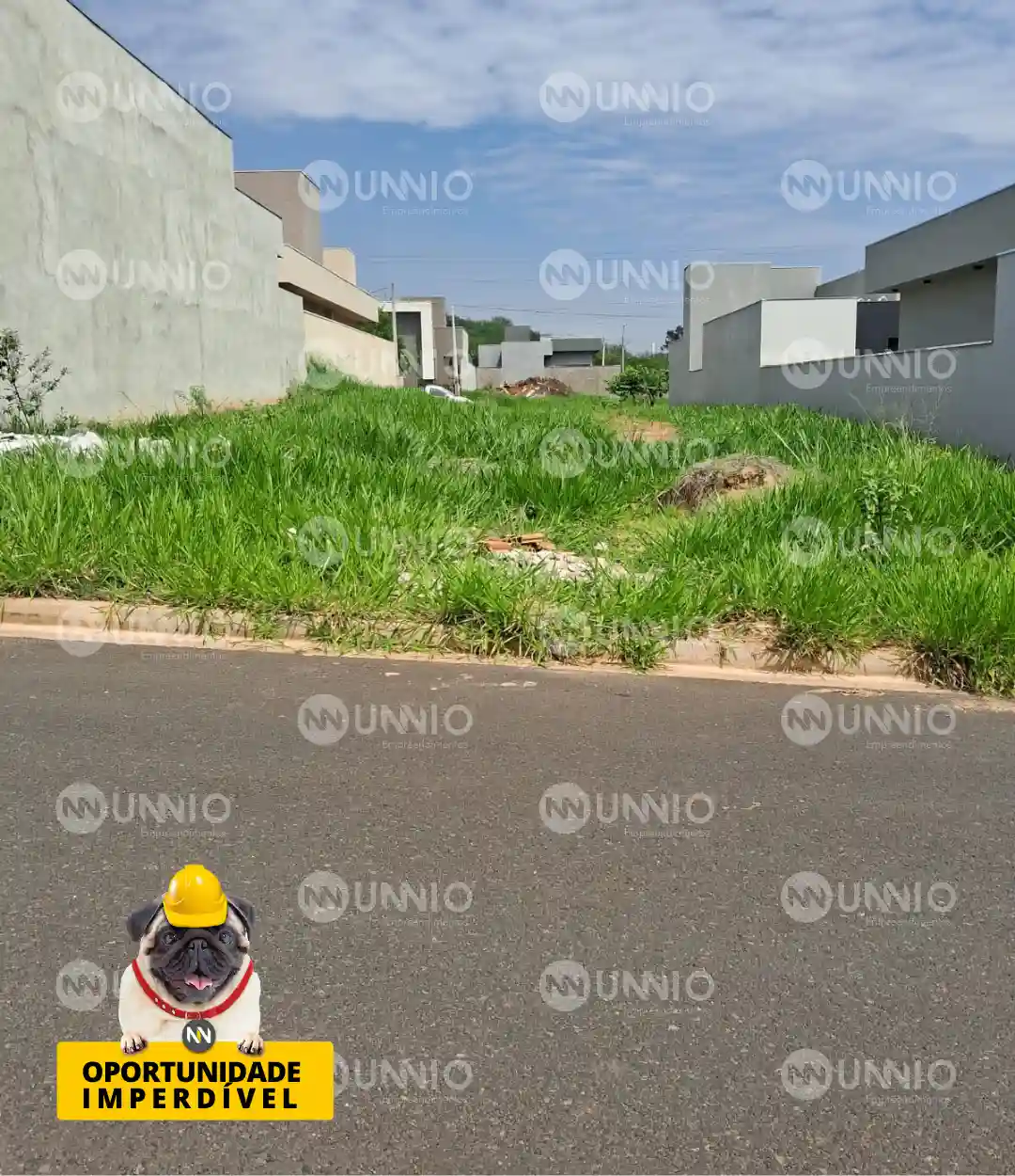 Terreno / Lote / Condomínio  à venda, 262m² — foto 6 de 14