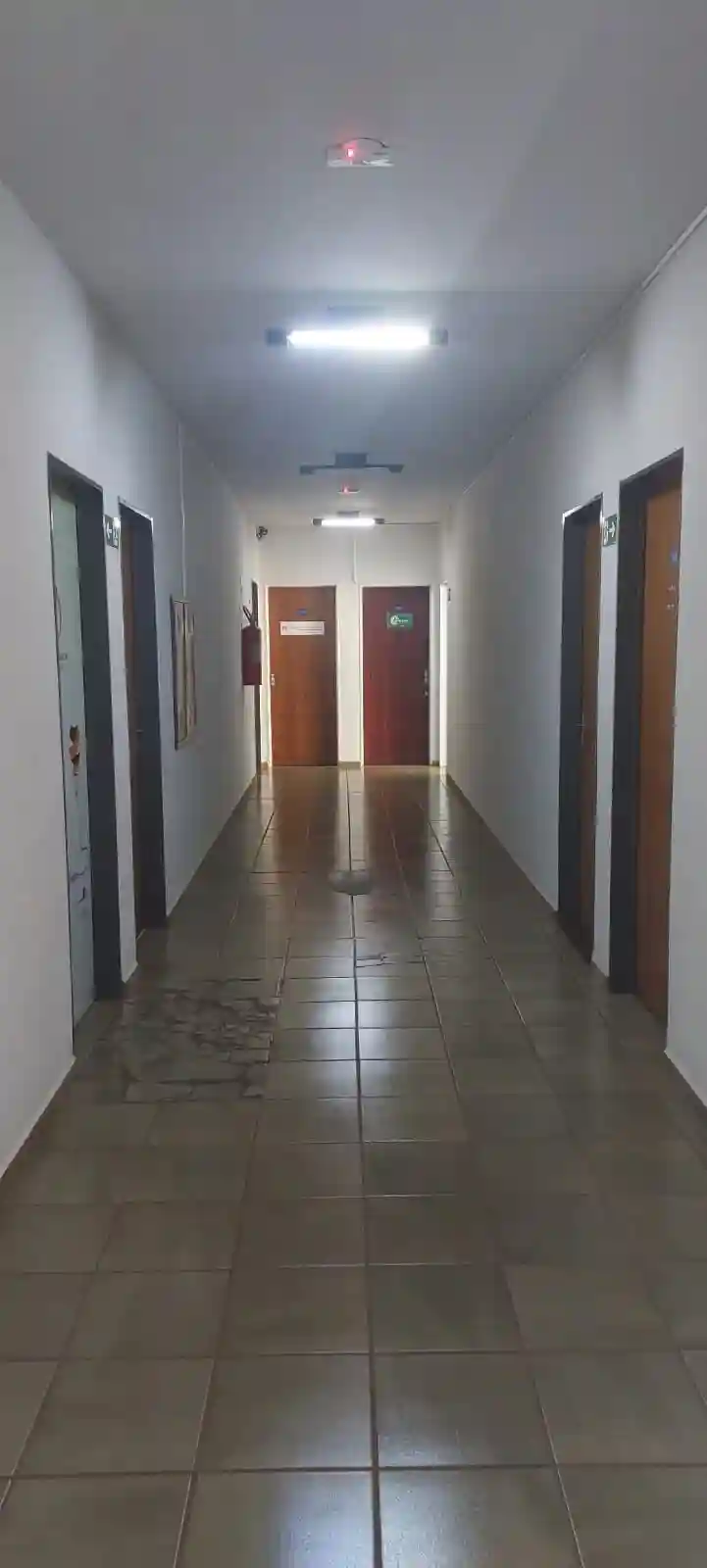 Loja / Salão / Ponto Comercial  para aluguel, 50m² — foto 3 de 11