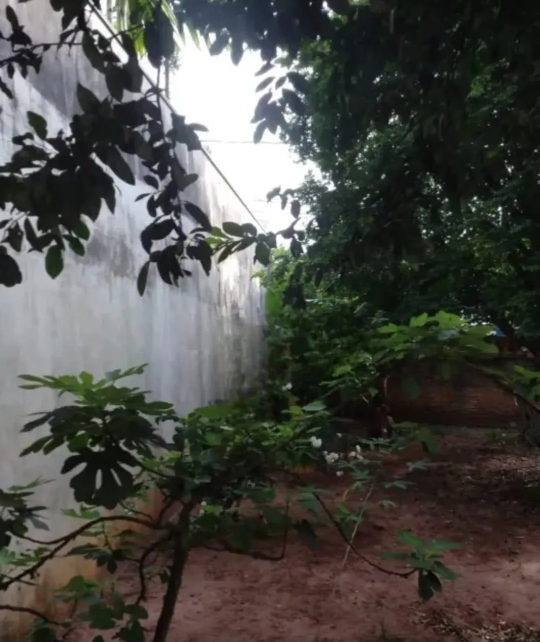 Casa com 2 quartos à venda, 330m² — foto 11 de 16